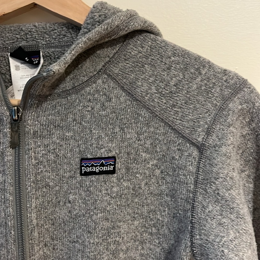 Patagonia Hooded Fleece